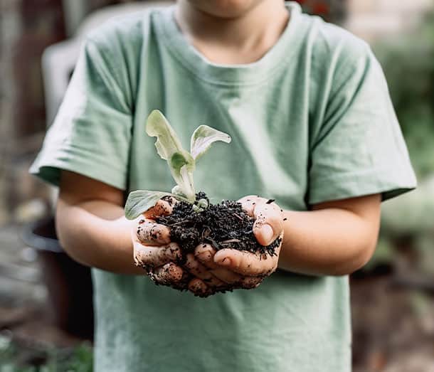Child holding dirt with a growing plant.